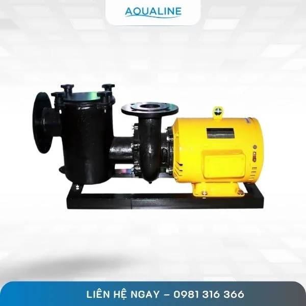 máy bơm bể bơi