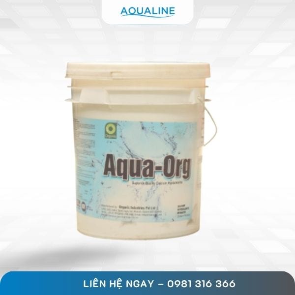 Chlorine Ấn Độ Aqua - ORG