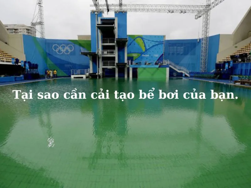 Tai-sao-nen-cai-tao-be-boi