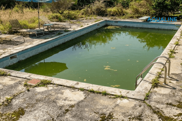 cải tạo hồ bơi cũ thành mới