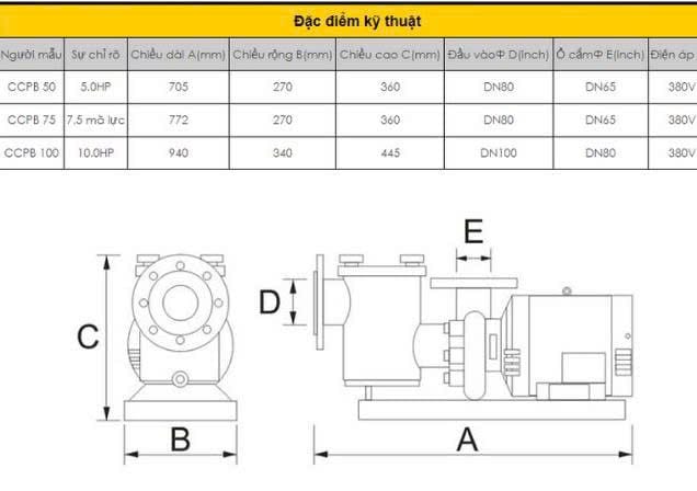 Máy bơm bể bơi Pikes CCPB